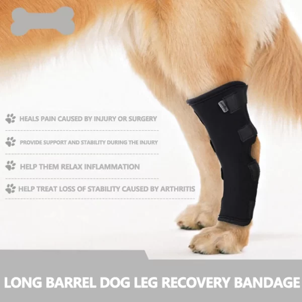 Hock Brace for Pets